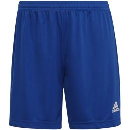 Moteriški treniruočių šortai adidas Entrada 22, mėlyni
