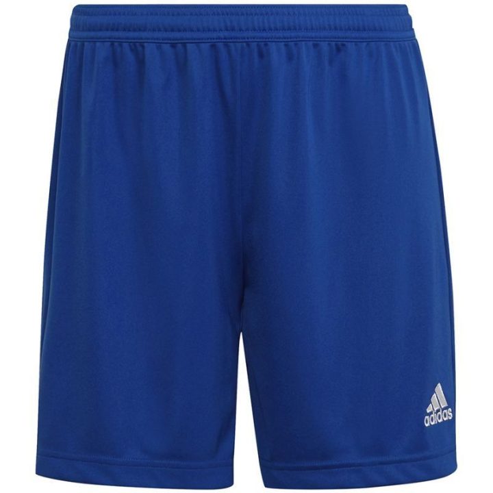 Moteriški treniruočių šortai adidas Entrada 22, mėlyni