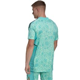 Vyriški vartininko marškinėliai adidas Condivo 22, žali