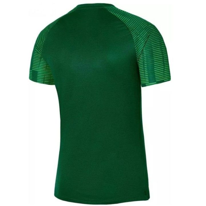 Vyriški treniruočių marškinėliai Nike Dri-FIT Academy, žali