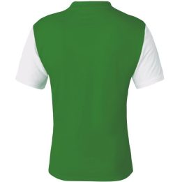 Vyriški marškinėliai Nike Dri-Fit Tiempo Premier 2, žali