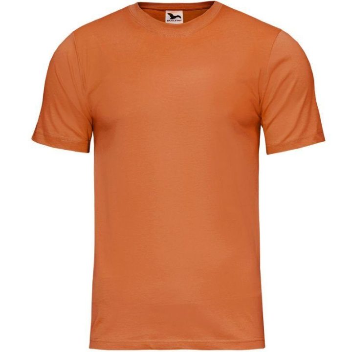Vyriški medvilniniai marškinėliai Malfini Classic New, oranžiniai