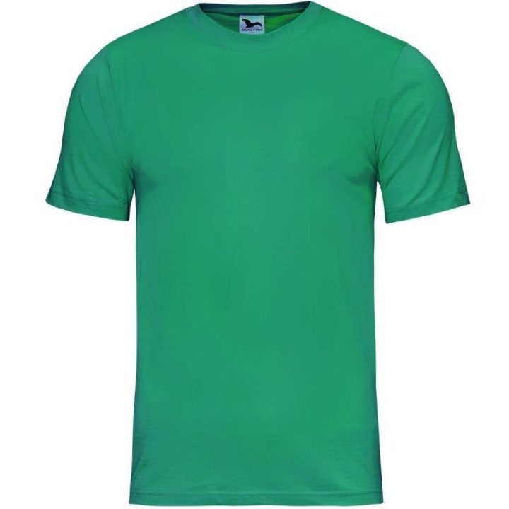Vyriški medvilniniai marškinėliai Malfini Classic New, 145 g/m², žali