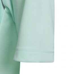 Vaikiški marškinėliai adidas Entrada 22 Graphic, mėtų ir pilki
