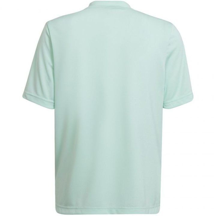 Vaikiški marškinėliai adidas Entrada 22 Graphic, mėtų ir pilki