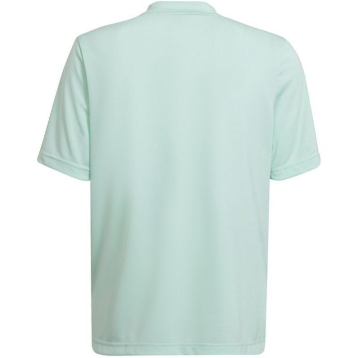Vaikiški marškinėliai adidas Entrada 22 Graphic, mėtų ir pilki