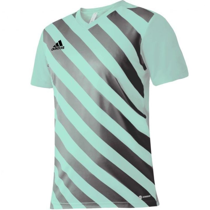 Vaikiški marškinėliai adidas Entrada 22 Graphic, mėtų ir pilki