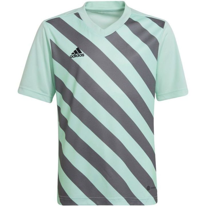 Vaikiški marškinėliai adidas Entrada 22 Graphic, mėtų ir pilki