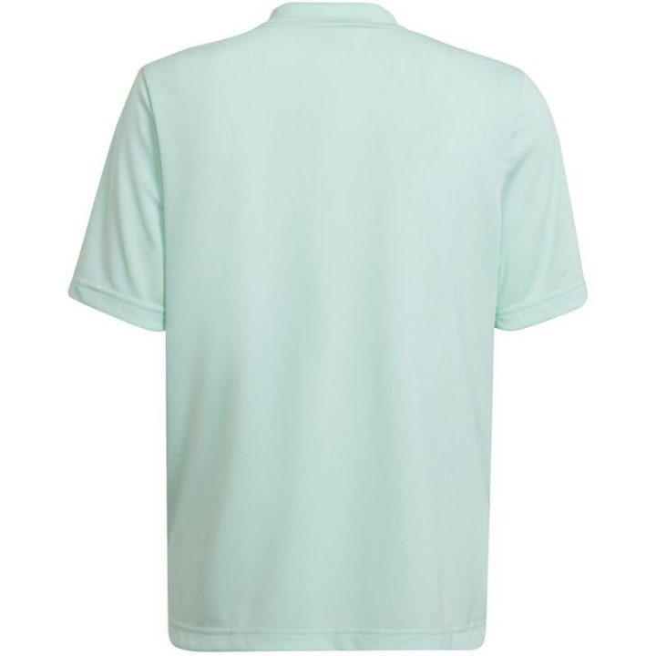 Vaikiški marškinėliai adidas Entrada 22 Graphic, mėtų ir pilki