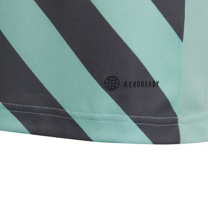 Vaikiški marškinėliai adidas Entrada 22 Graphic, mėtų ir pilki