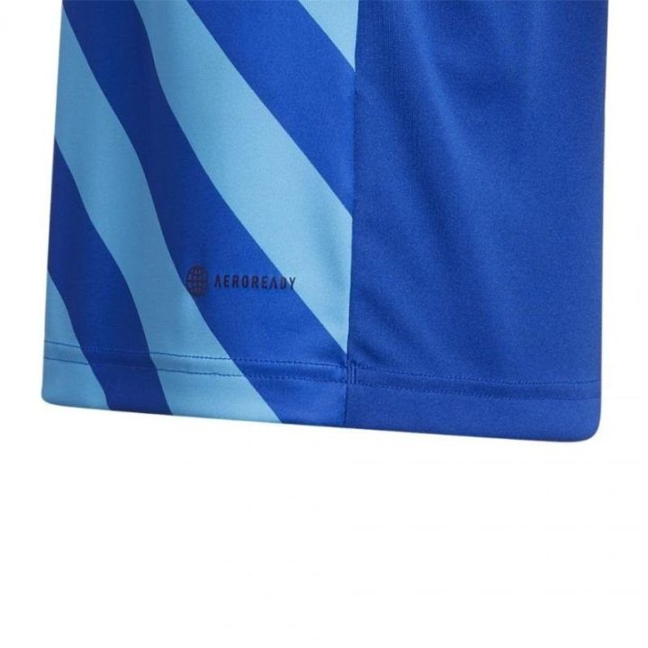 Vaikiški marškinėliai adidas Entrada 22 Graphic, mėlyni