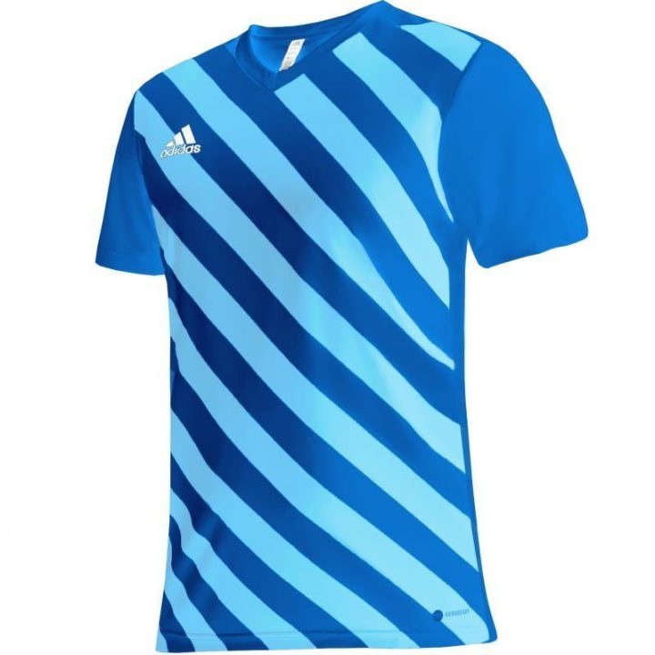 Vaikiški marškinėliai adidas Entrada 22 Graphic, mėlyni