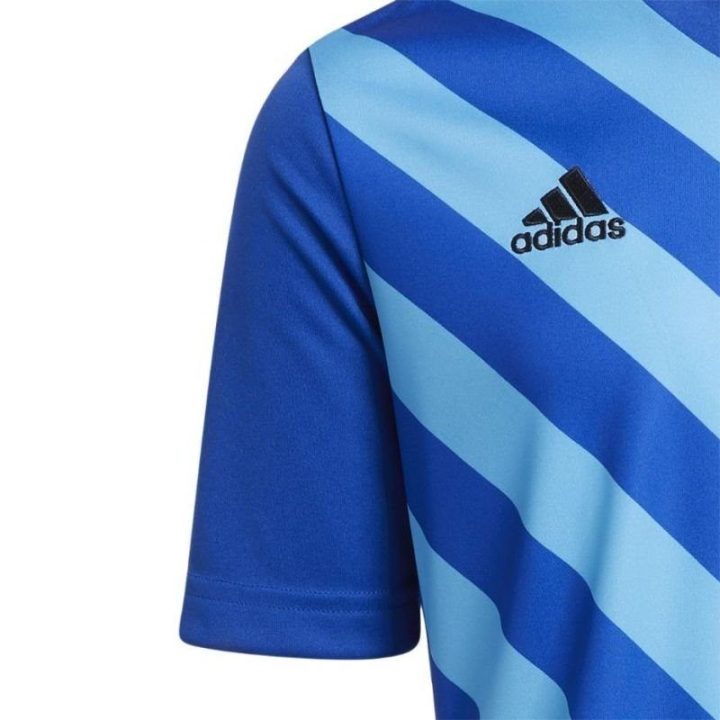 Vaikiški marškinėliai adidas Entrada 22 Graphic, mėlyni