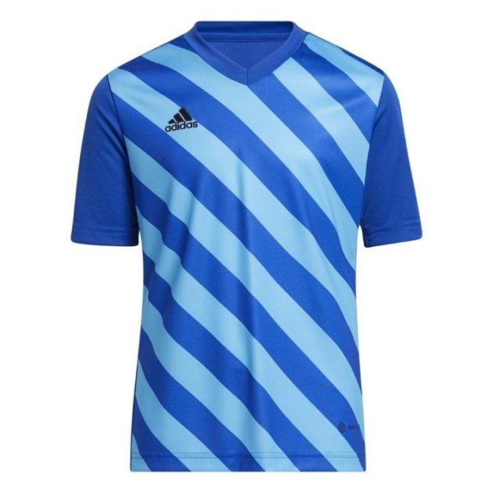 Vaikiški marškinėliai adidas Entrada 22 Graphic, mėlyni