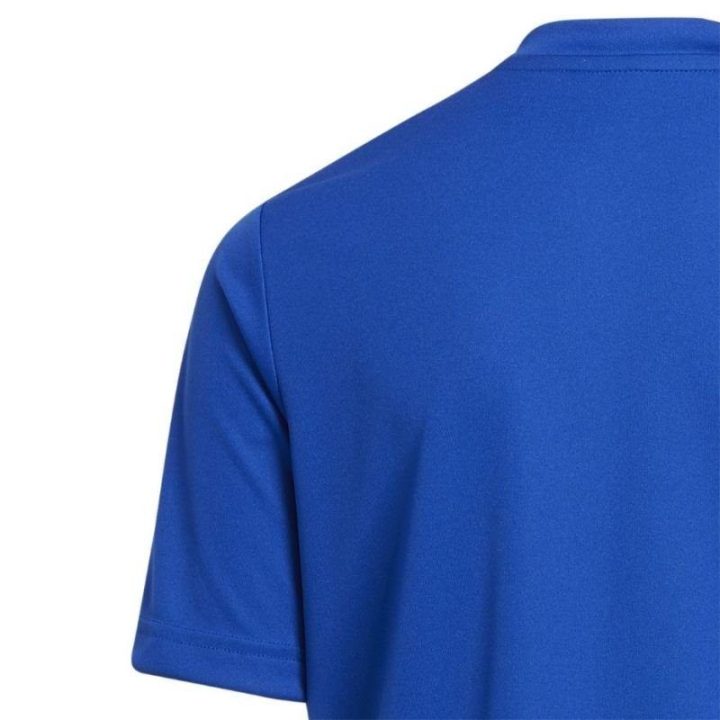 Vaikiški marškinėliai adidas Entrada 22 Graphic, mėlyni