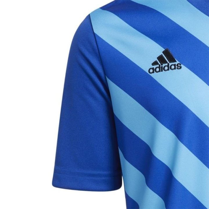 Vaikiški marškinėliai adidas Entrada 22 Graphic, mėlyni