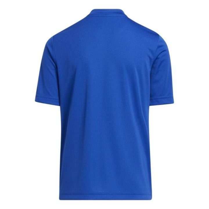 Vaikiški marškinėliai adidas Entrada 22 Graphic, mėlyni