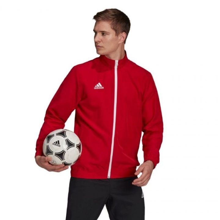 Vyriškas džemperis adidas Entrada 22 Presentation, raudonas