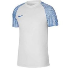 Vyriški marškinėliai Nike Dri-FIT Academy, balti ir mėlyni