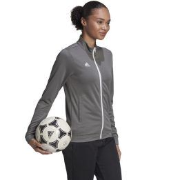 Moteriška striukė su paaukštinta apykakle adidas Entrada 22, pilka