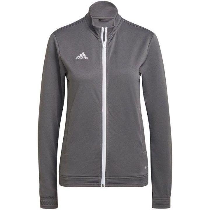 Moteriška striukė su paaukštinta apykakle adidas Entrada 22, pilka