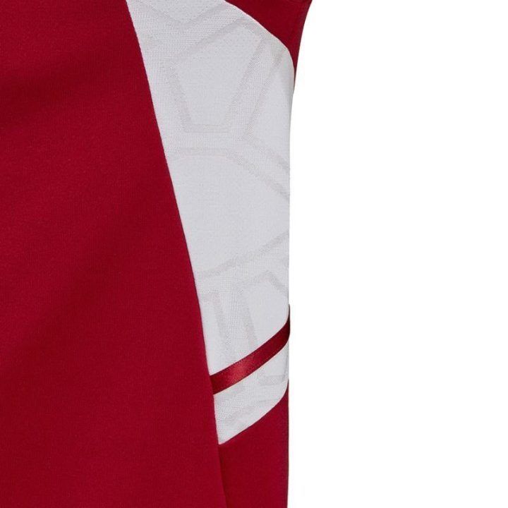 Vyriškas treniruočių džemperis adidas Condivo 22, raudonas