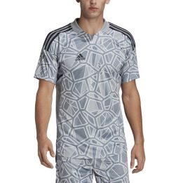 Vyriški vartininko marškinėliai adidas Condivo 22, HB1622, pilki