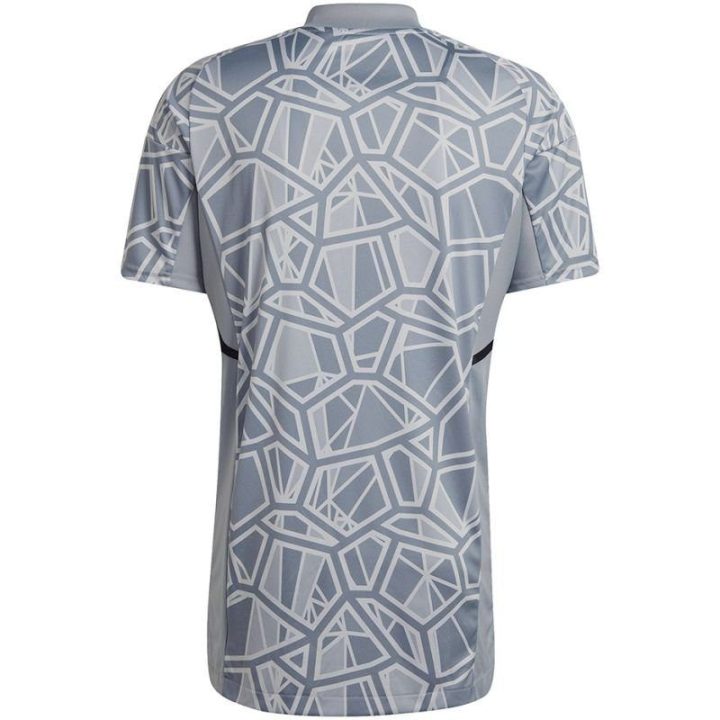 Vyriški vartininko marškinėliai adidas Condivo 22, HB1622, pilki