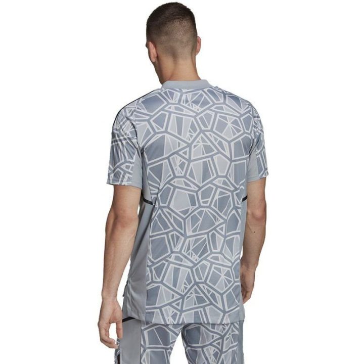 Vyriški vartininko marškinėliai adidas Condivo 22, HB1622, pilki