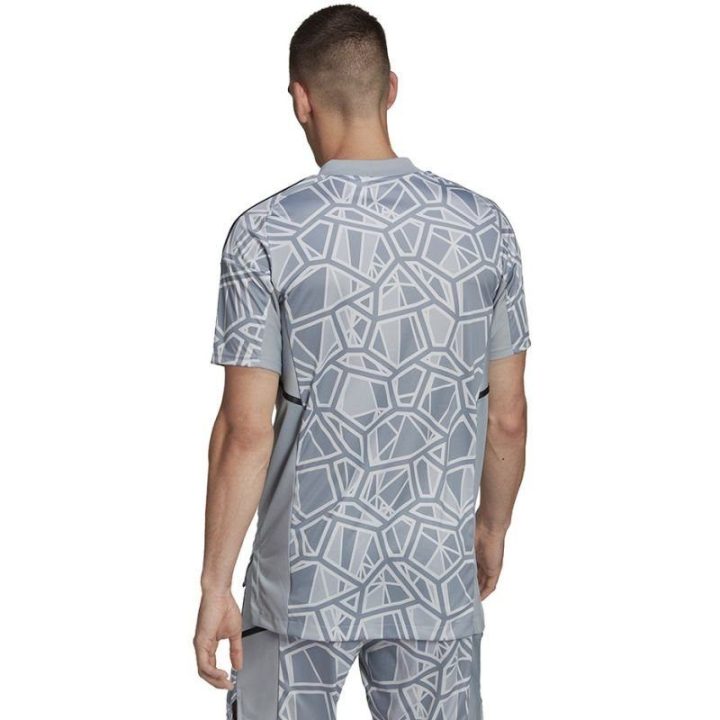 Vyriški vartininko marškinėliai adidas Condivo 22, HB1622, pilki