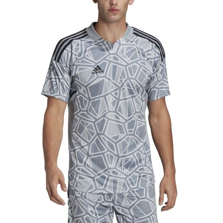 Vyriški vartininko marškinėliai adidas Condivo 22, HB1622, pilki