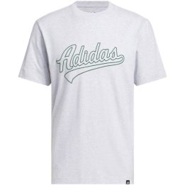 Vyriški medvilniniai marškinėliai adidas Varsity Tailsweep, pilki