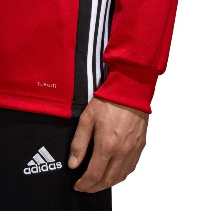 Vyriškas treniruočių džemperis adidas Regista 18, raudonas
