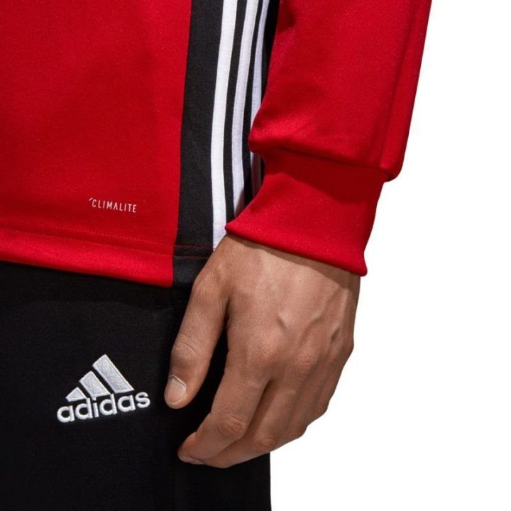 Vyriškas treniruočių džemperis adidas Regista 18, raudonas