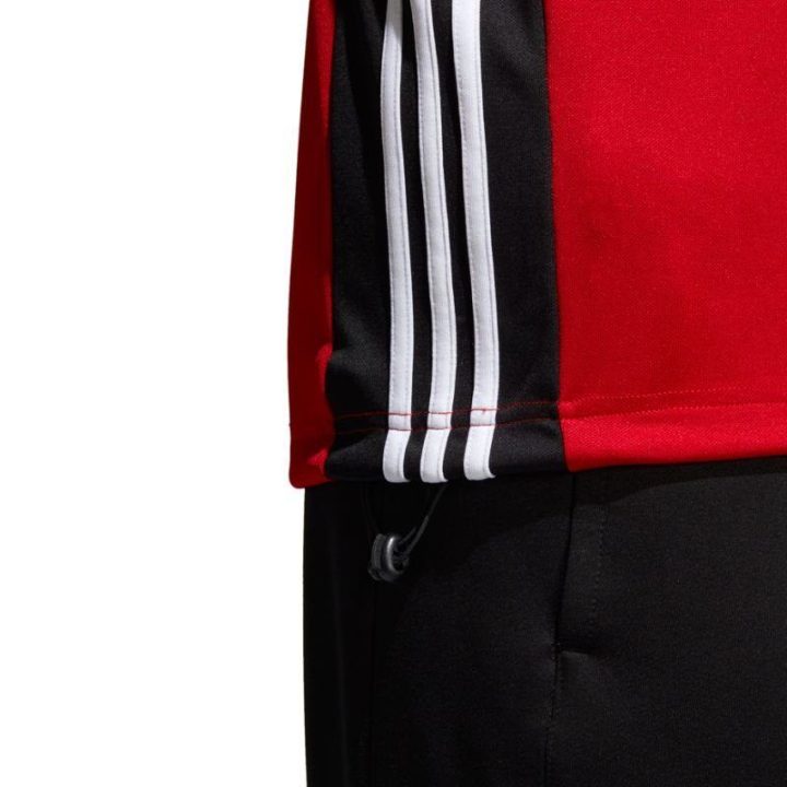 Vyriškas treniruočių džemperis adidas Regista 18, raudonas