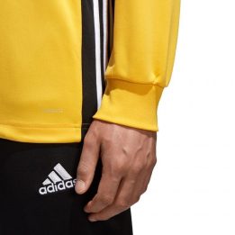 Vyriškas džemperis su 1/4 užtrauktuku adidas Regista 18, geltonas