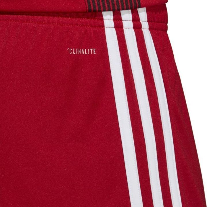 Vyriški futbolo šortai adidas Tastigo 19, raudoni