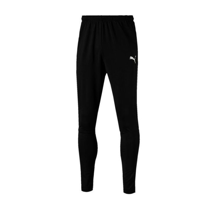 Vyriškos treniruočių kelnės Puma Liga Pro Training, juodos
