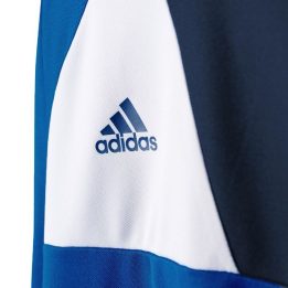 Vartininko džemperis berniukams adidas Assita 17, mėlynas ir tamsiai mėlynas
