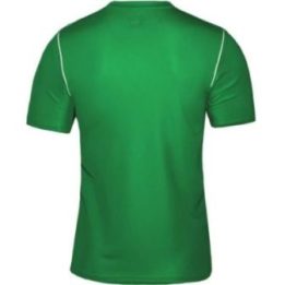 Vaikiški Dri-FIT treniruočių marškinėliai Nike Park 20, žali