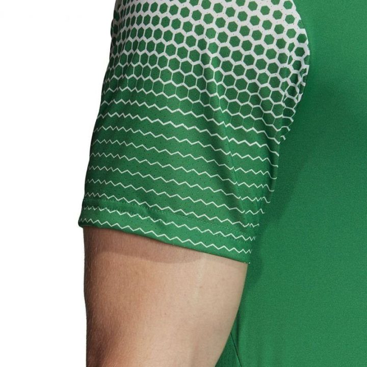 Vyriški marškinėliai su prigludusiu kirpimu adidas Regista 20, žali