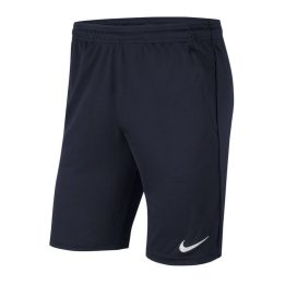Vyriški treniruočių šortai Nike Dri-FIT Park 20, tamsiai mėlyni