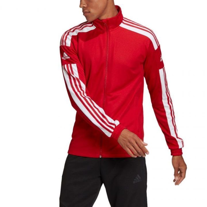 Vyriškas sportinis džemperis adidas Squadra 21 Training, raudonas