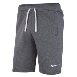 Vyriški sportiniai šortai Nike Park 20, pilki