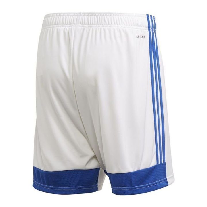 Vyriški futbolo šortai adidas Tastigo 19, tamsiai mėlyni