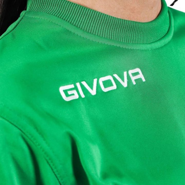 Vyriškas įprasto kirpimo džemperis Givova Maglia One, žalias
