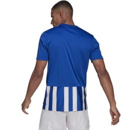 Vyriški marškinėliai adidas Striped 21, mėlyni ir balti