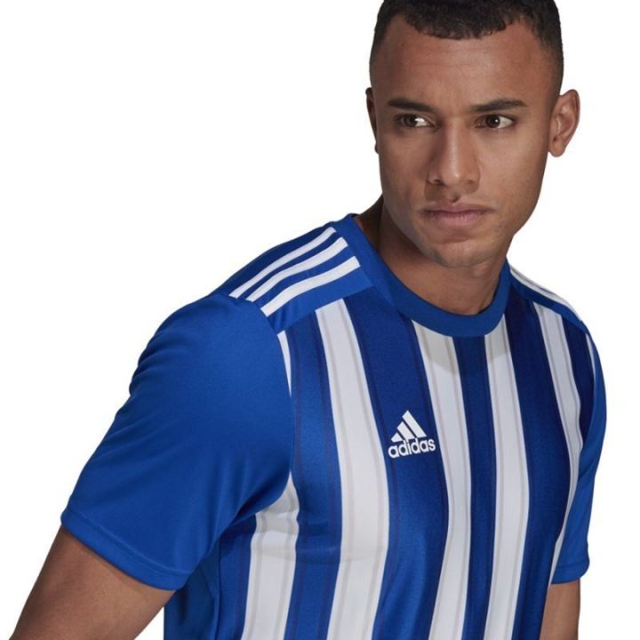 Vyriški marškinėliai adidas Striped 21, mėlyni ir balti