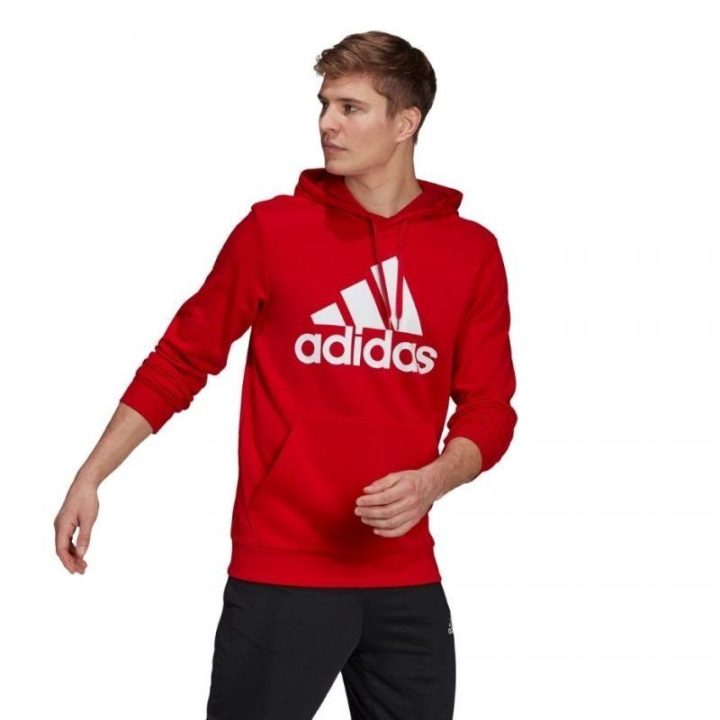 Vyriškas džemperis su gobtuvu adidas Essentials Big Logo, raudonas