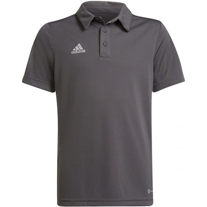 Vaikiški polo marškinėliai adidas Entrada 22, pilki